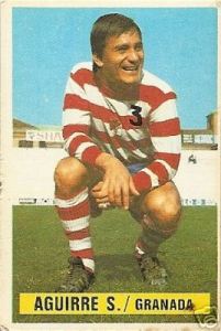 Ramón Aguirre Suárez