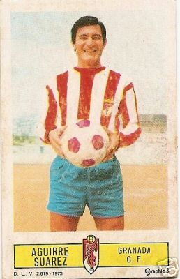 Ramón Aguirre Suárez